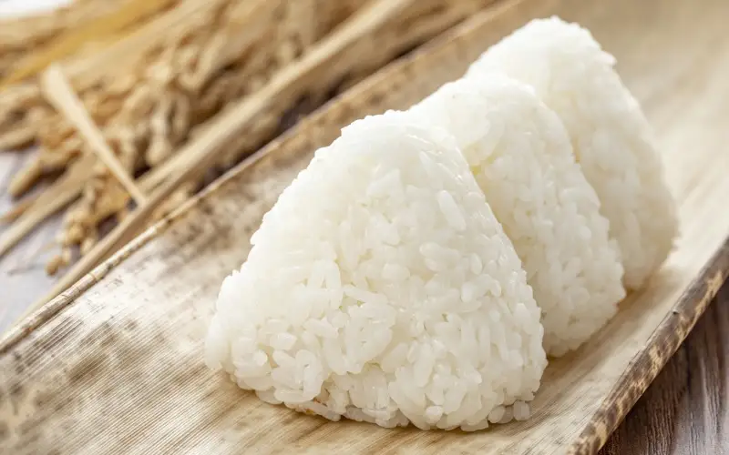 【令和8年産：先行予約】玄米 完全無農薬・化学肥料不使用 いせひかり5kg 蒜山高原しげちゃん農園 / 米 白米 無農薬 新米 岡山県 真庭市 蒜山【hsig006-01】