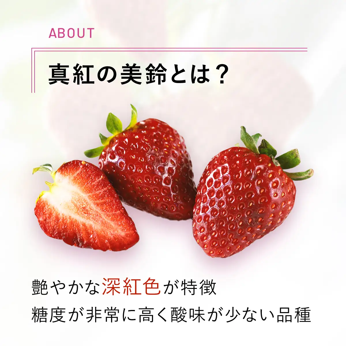 魅惑の黒いちご「真紅の美鈴」とジャムセット　TME004