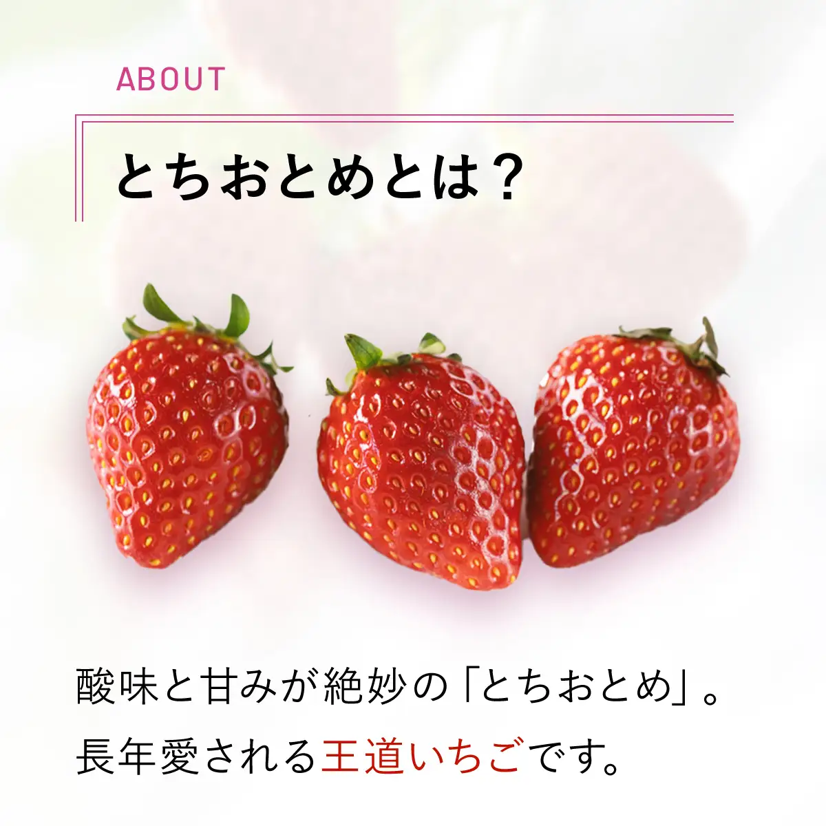 甘みと酸味が絶妙「とちおとめ」とジャムセット　TME005
