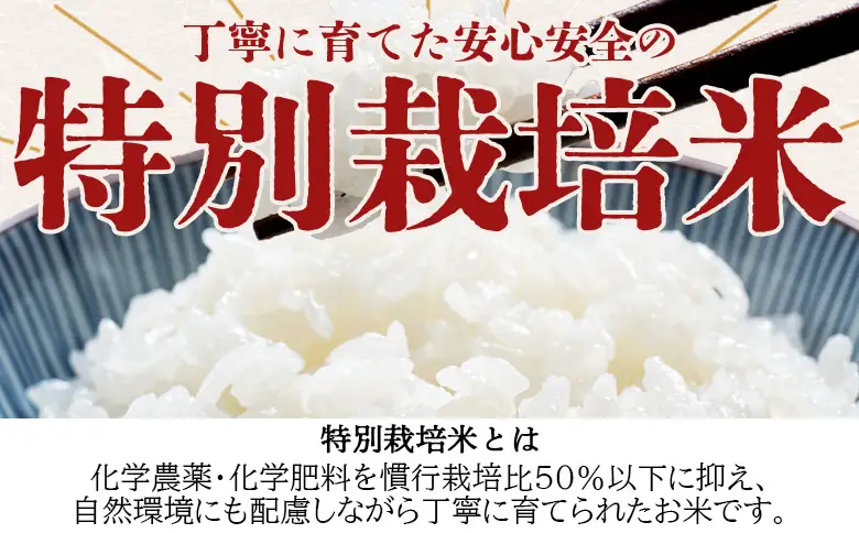 令和８年度産 白米（特別栽培米）5kg ka-0002