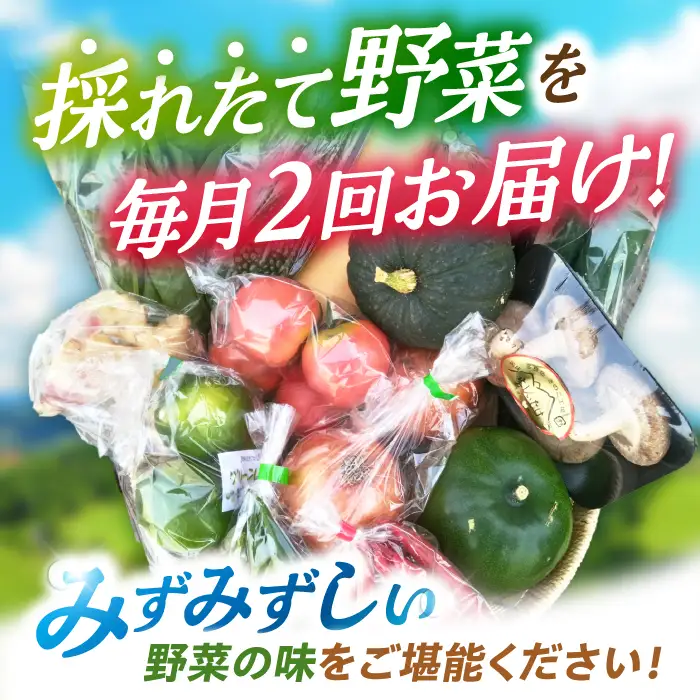 月2回お届け【24回定期便】諫早産 野菜の詰め合わせ 8・9品目程度 / 季節 旬 野菜 やさい 春野菜 夏野菜 秋野菜 野菜セット 詰め合わせ 野菜定期 野菜定期便 定期便 / 諫早市 / 肥前グローカル株式会社[AHDI015]