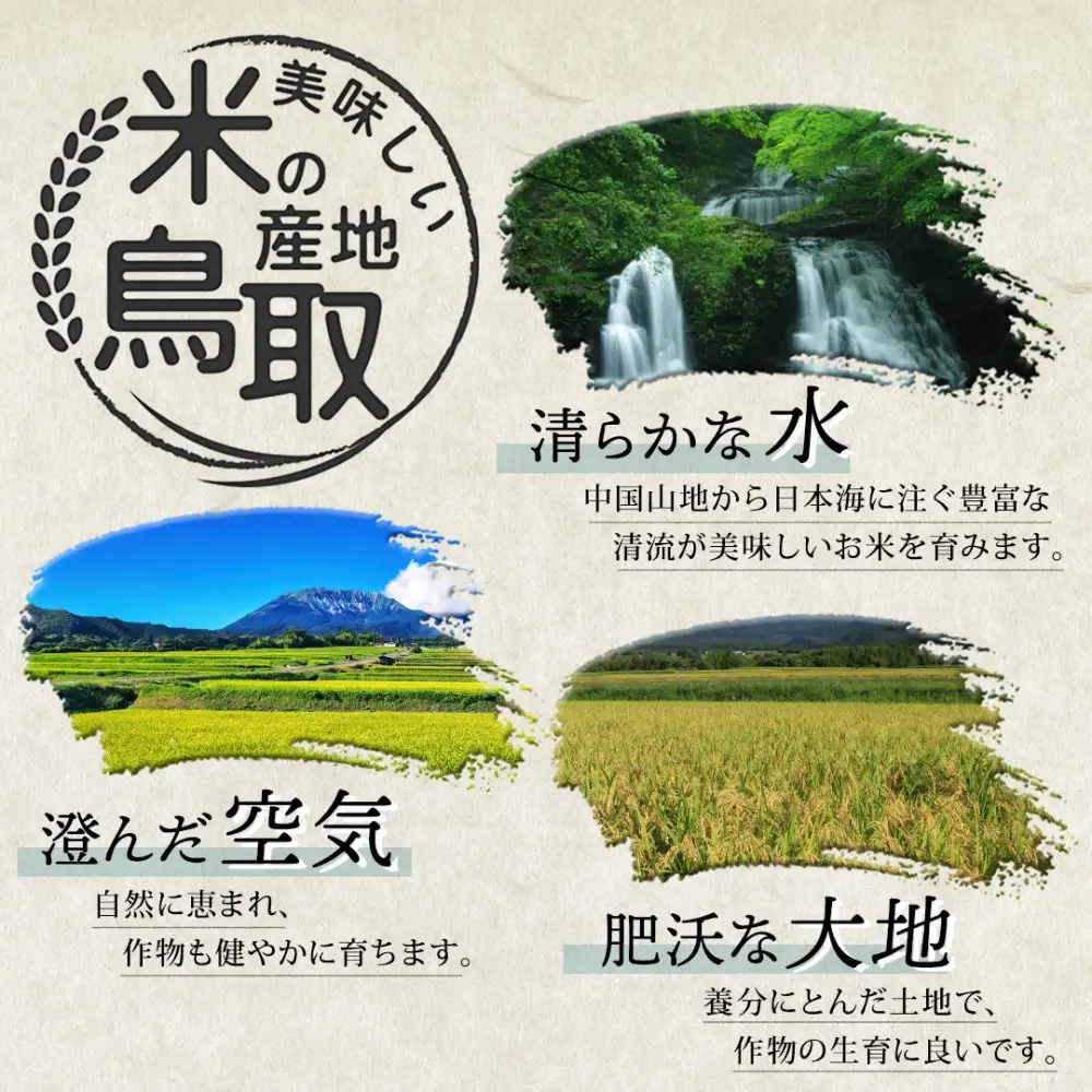 【令和8年度産】因幡の白兎米 コシヒカリ 精米済 20kg ( 5kg×4袋 )
