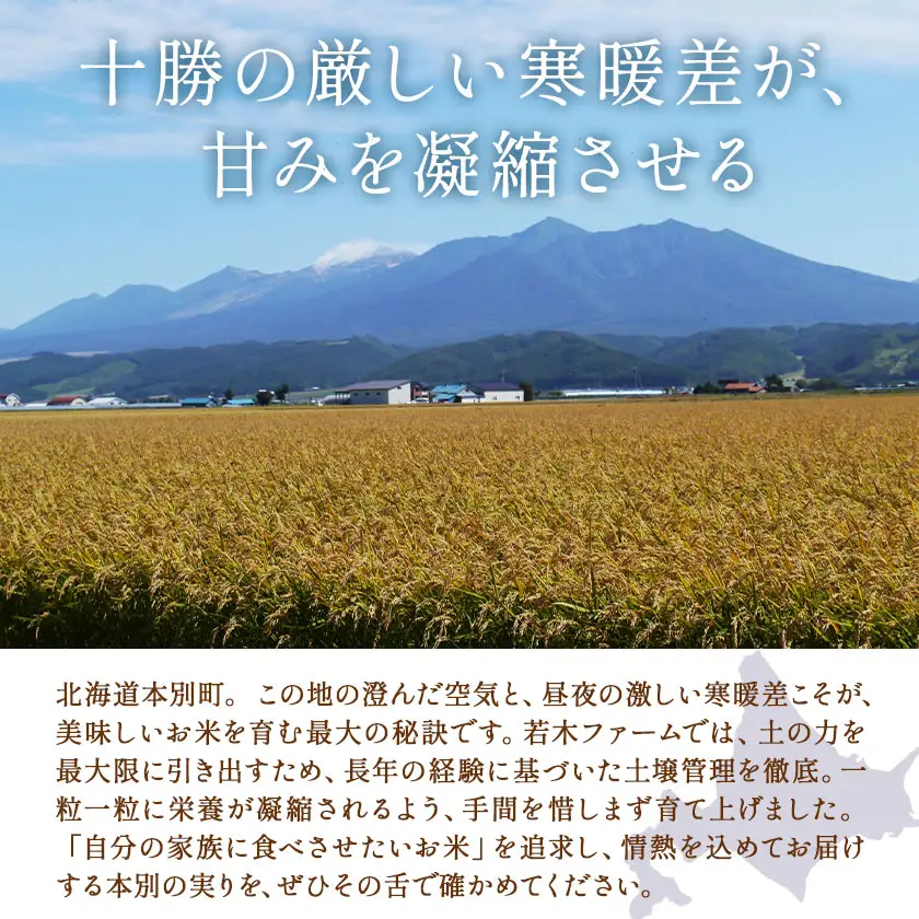 米 令和8年産 ななつぼし 10kg 若木ファーム 《11月上旬以降順次出荷》北海道 本別町 米 お米 白米 精米 2026年 予約 北海道産 十勝 本別町産 特A 産地直送