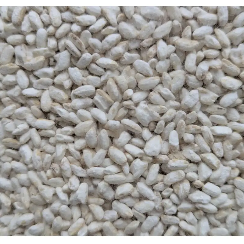 玄米乾燥麹 500g ふるさと納税 玄米 米麹 米 麹 発酵食品