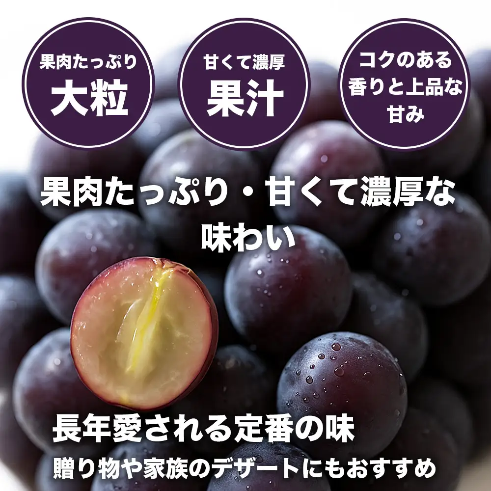 先行予約 巨峰  約1.2kg (4パック)【2026年7月下旬～2026年8月下旬配送予定】