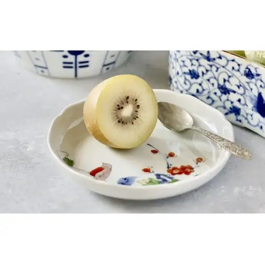 有田焼 色絵花鳥文4.5寸皿 2枚セット【まるぶん】まるぶんオリジナル 食器 器 うつわ 磁器 陶磁器 小皿 取り皿 飾り皿 染付 赤絵 手描き 日本画 和風 A22-110