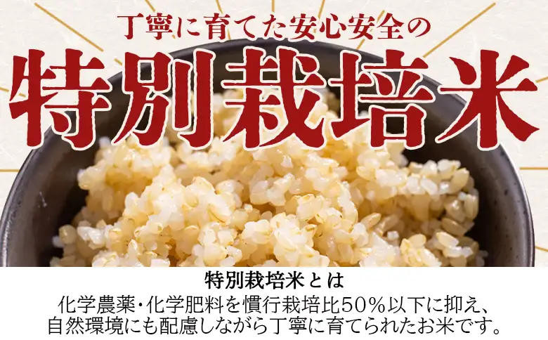 令和８年度産 玄米（特別栽培米）5kg ka-0001