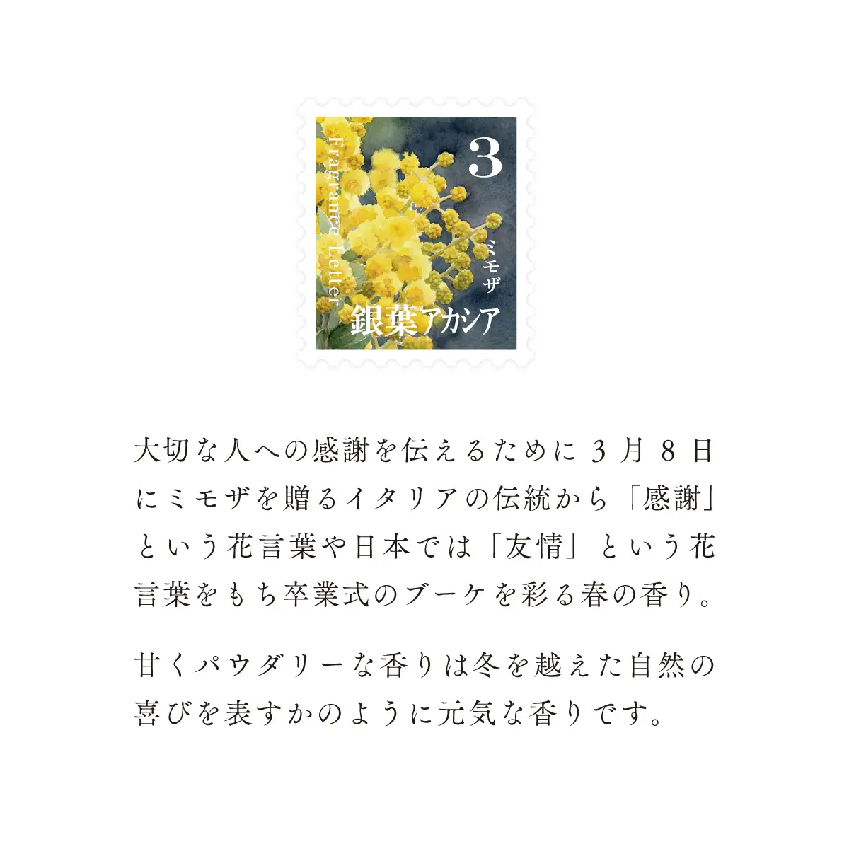 移ろう四季のディフューザー【銀葉アカシア／ミモザ】～3月の香り～ 癒しの芳香剤・ルームフレグランスギフト gone works 山口県 防府市 O-I30リードディフューザー アロマ スティック インテリア 玄関 寝室 天然香料 日本製 贈り物 プレゼント 誕生日