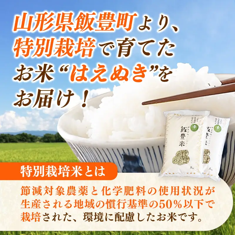 【R7年産米】はえぬき 白米 10㎏(5㎏×2) - 米 ごはん 山形県 飯豊町
