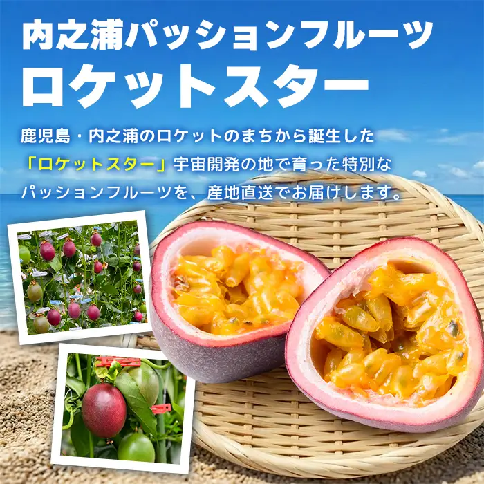 【D99001】＜先行受付＞ パッションフルーツ ロケットスター 約6kg 鹿児島県産 産地直送【グリーンファースト】