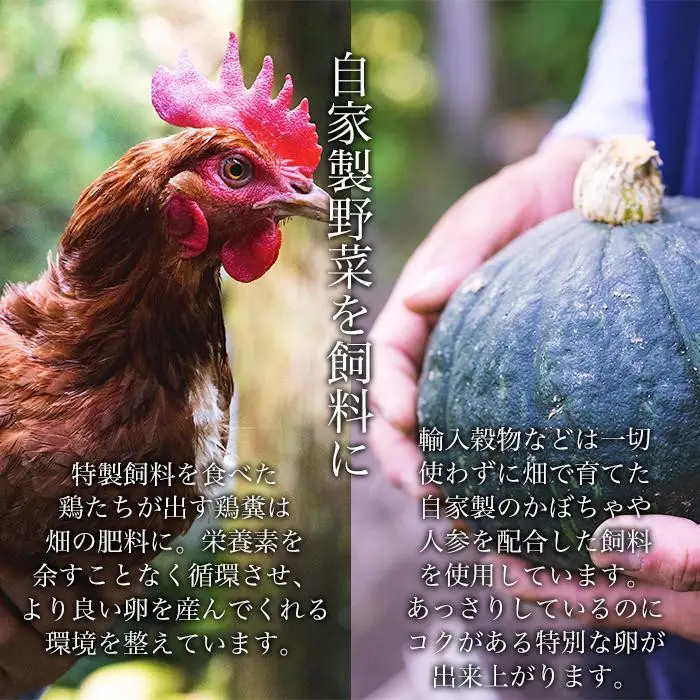 【定期便3か月】国産飼料にこだわった鶏が産む安全安心の 『レモン色たまご』20個（15個＋割れ保証5個） ［Hn4］