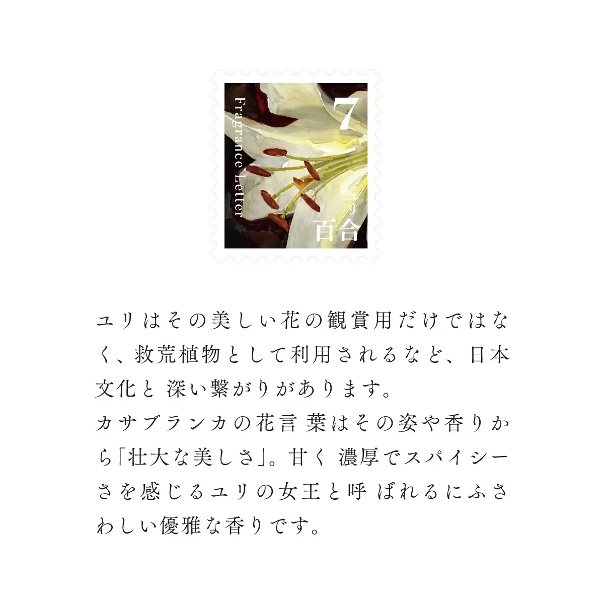 移ろう四季のディフューザー【百合／ユリ】～7月の香り～ 癒しの芳香剤・ルームフレグランスギフト gone works 山口県 防府市 O-I35リードディフューザー アロマ スティック インテリア 玄関 寝室 天然香料 日本製 贈り物 プレゼント 誕生日