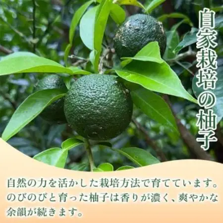 【ひとさじで料理が引き締まる】柚子胡椒(瓶)50g ×6本 1セット【1736725】