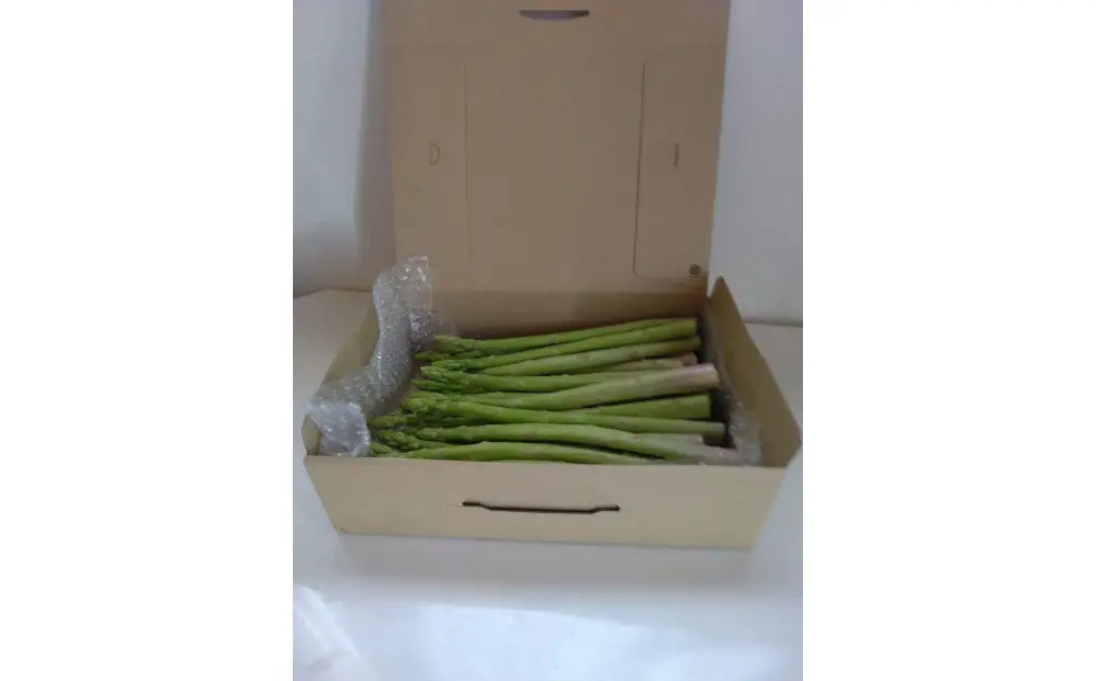 アスパラガス さぬきのめざめ 夏芽 約1.2kg