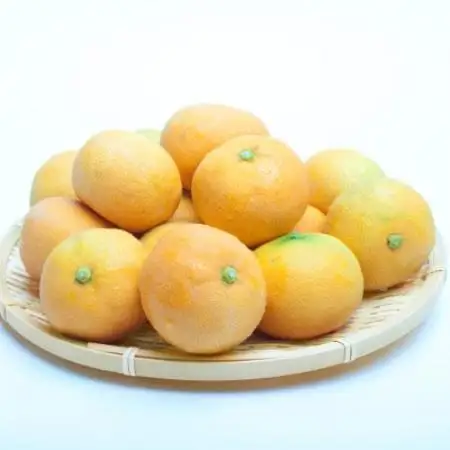 ハウス栽培温室みかん2.5kg+250g(傷み補償分)【有田みかん】【配送不可地域：離島・北海道・沖縄県】【1649258】