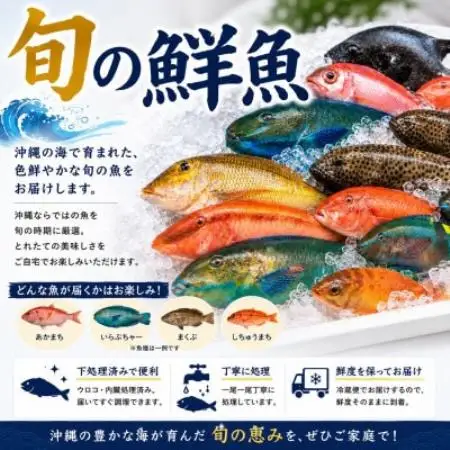 【国頭漁業協同組合直送】旬の鮮魚おまかせセット 3kg(4～8種類)【配送不可地域：離島】【1738197】