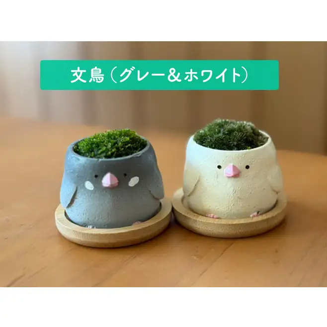 アニマルコケペア アニマル 鉢 置物 インテリア 雑貨 シマエナガ＆ひよこペア