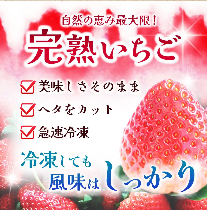 完熟・急速 冷凍いちご 5kg イチゴ| 渡邉いちご園