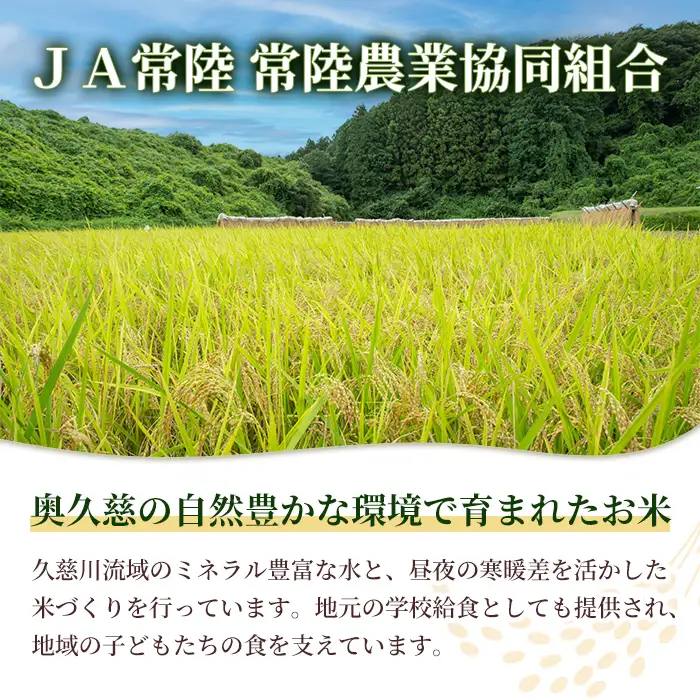 米 ゆめひたち 5kg 令和7年 【米】 【ho1697】