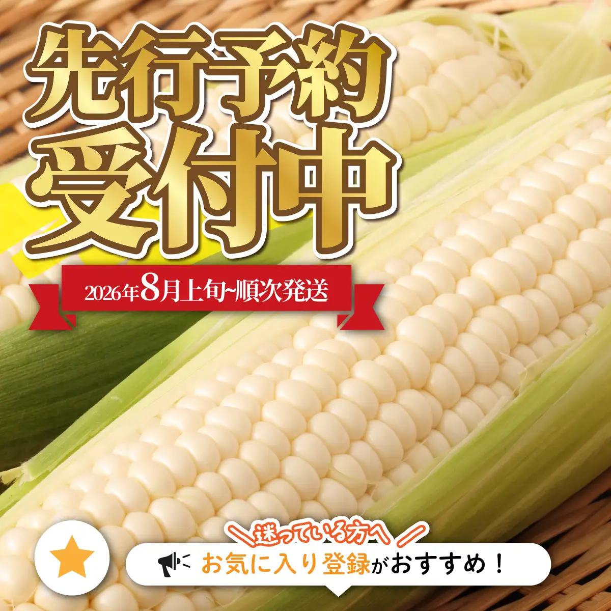 【先行予約】北海道七飯町産とうもろこし 「ホワイトショコラ」18本セット(令和8年8月上旬頃より順次発送) NABU006