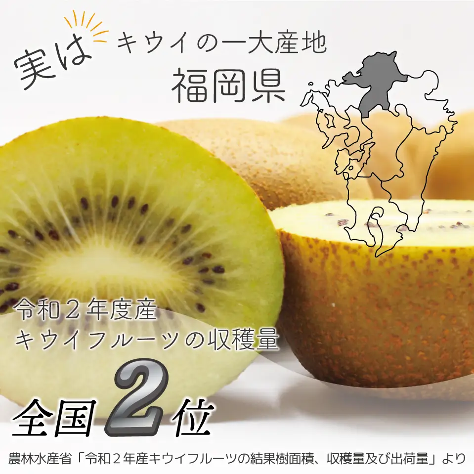 【先行予約】【2026年10月下旬より順次発送】福岡県ブランドキウイフルーツ博多甘うぃ 約3.6kg  [M998]
