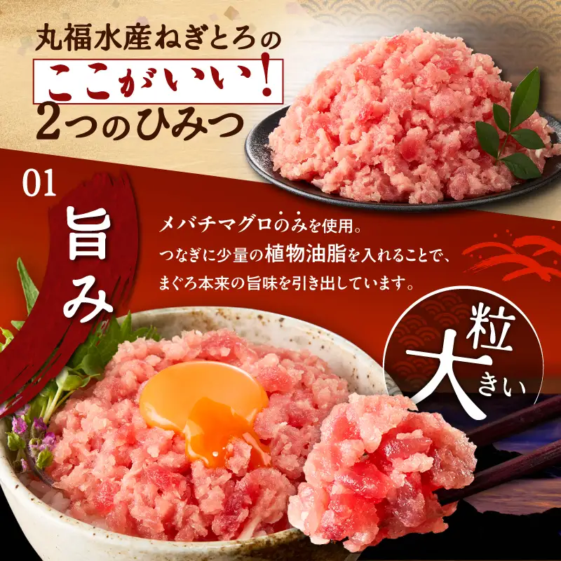 本格派 ねぎとろ 100g×10パック（1kg）セット M024-008-02 ネギトロ まぐろ