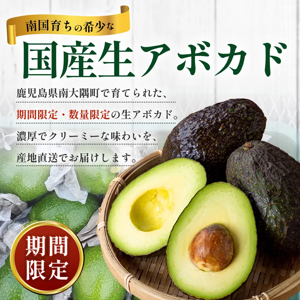 【期間限定・数量限定】 2026年11月より順次発送予定 南大隅町産 生アボカド 約1kg （4品種から2種以上おまかせ）SG-2｜ 産地直送 国産 アボカド 新鮮 森のバター 希少 鹿児島県産 本土最南端 ピンカートン モンロー ジャンボイス エッティンガー しげひさ農園