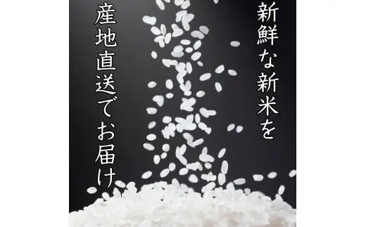 和歌山県産 キヌヒカリ 2kg(2025年産) / 白米 コメ 産地直送 米 こめ ご飯 ごはん コシヒカリ 【sml138】
