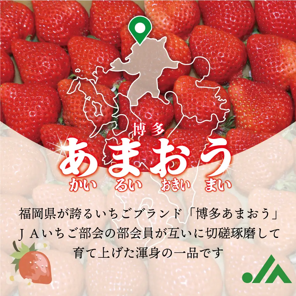 福岡県産冷凍あまおう800g(800g×1袋)  [M1001]