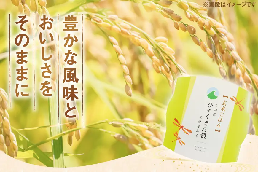 ひゃくまん穀 玄米 パックご飯 150g × 20食入り [みどりの波 石川県 宝達志水町 38601387]