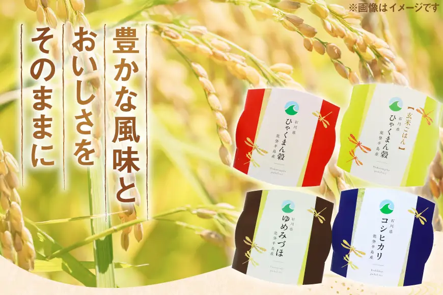 石川県産米 食べ比べ パックご飯 4種アソート セット コシヒカリ ひゃくまん穀 ゆめみづほ （白米3食＆玄米1食） [みどりの波 石川県 宝達志水町 38601392]