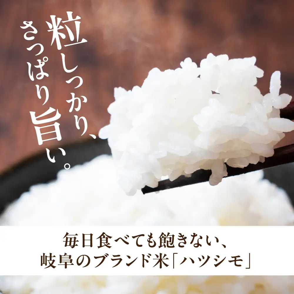 ≪令和7年度産≫ プロが厳選 玄米 ハツシモ 5kg｜玄米