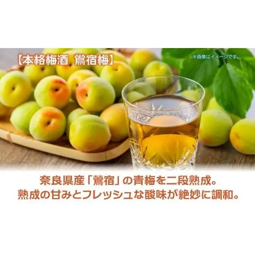 合同酒精 本格梅酒 鴬宿梅 おうしゅくばい 至極二段 720ml 梅酒 果実酒 フルーツ酒 ロック ソーダ割り 水割り 鶯宿 奈良県産 国産梅 フレッシュ 熟成 甘い 爽快感 お酒 酒 アルコール 飲料 ご当地 お取り寄せ 送料無料 千葉県 松戸市