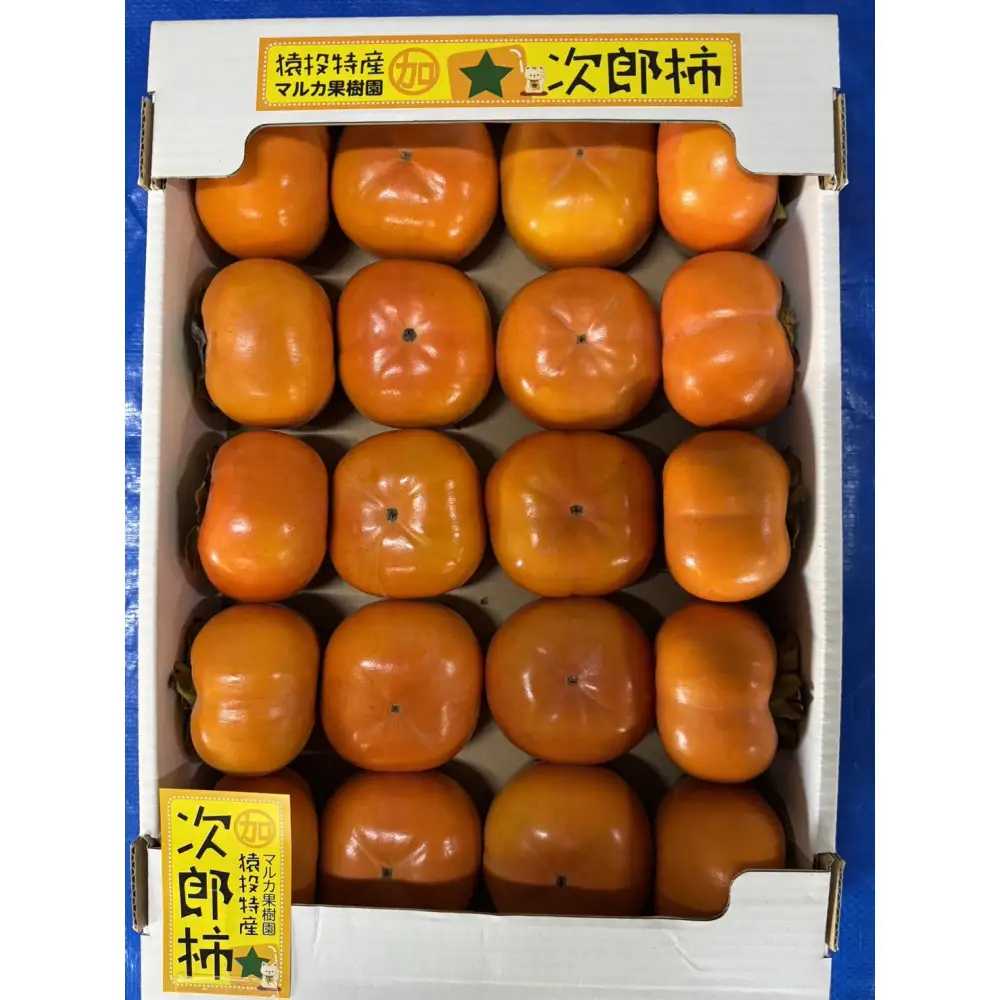 ＜先行受付＞次郎柿　約4.6kg【2026年10月下旬以降順次発送】