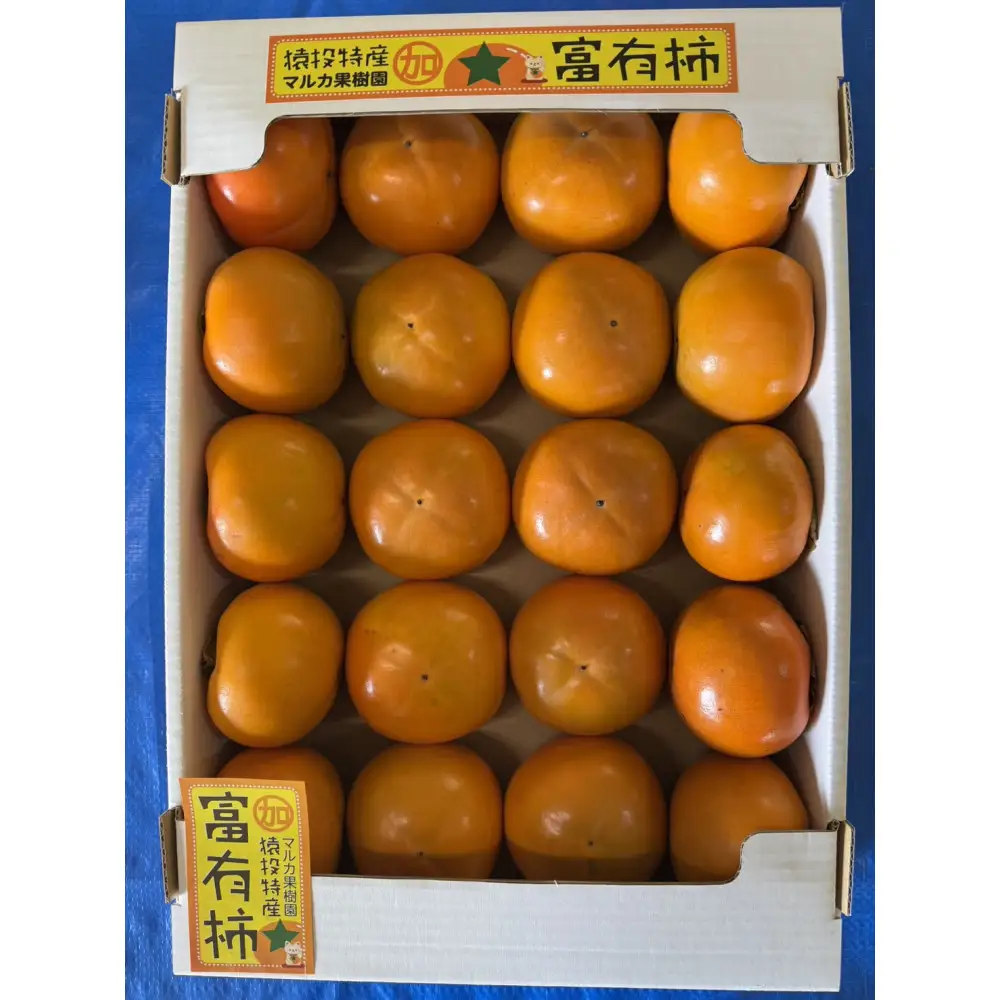 ＜先行受付＞富有柿　約4.6kg【2026年11月上旬以降順次発送】