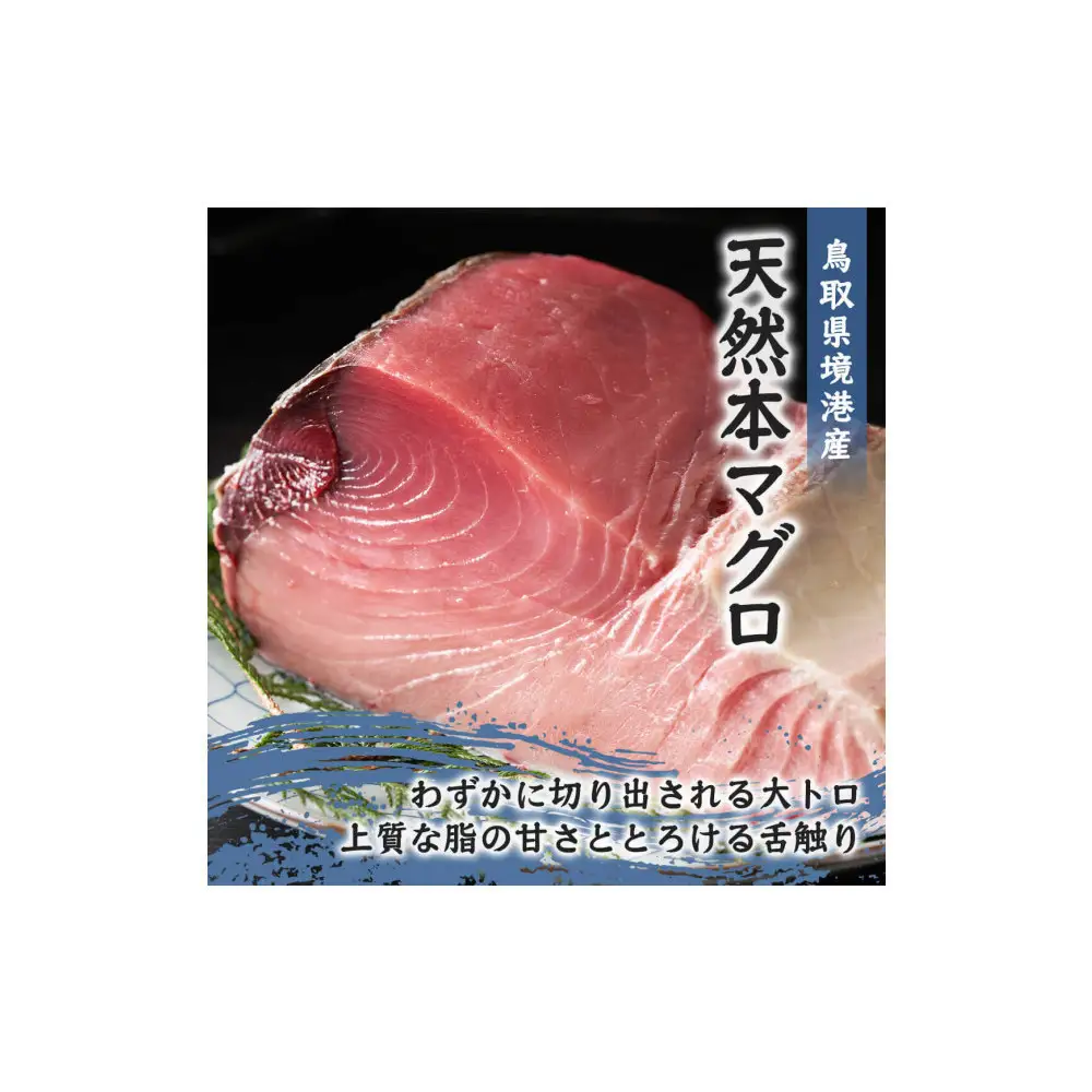 天然本マグロ(黒マグロ)　大トロ300～400g