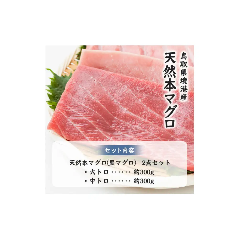 天然本マグロ(黒マグロ)　2点セット(大トロ・中トロ)600～650g