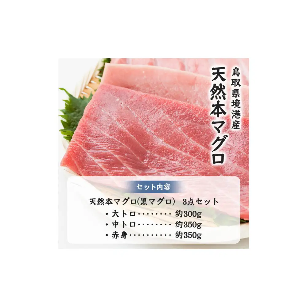 天然本マグロ(黒マグロ)　3点セット(大トロ・中トロ・赤身) 1kg