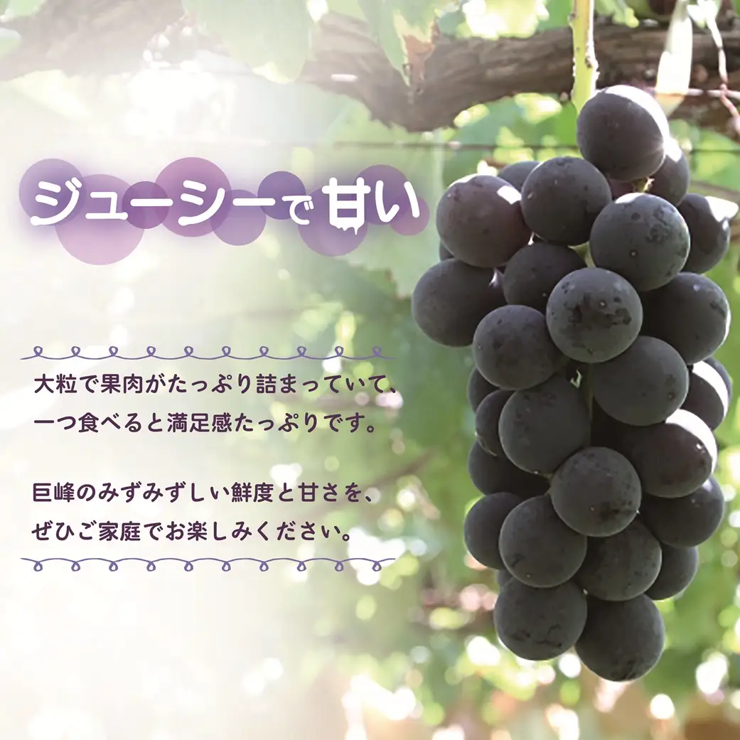 山梨県甲斐市産　化学肥料不使用で育った巨峰　約1㎏