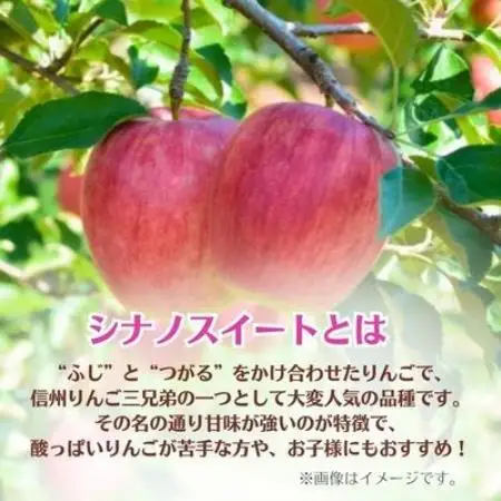 シナノスイート 約5kg 家庭用【1739134】