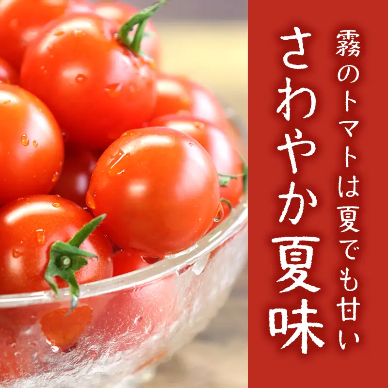 【霧で育てた濃厚な味】霧のトマトSummer 200ｇ×4パック（06-51）