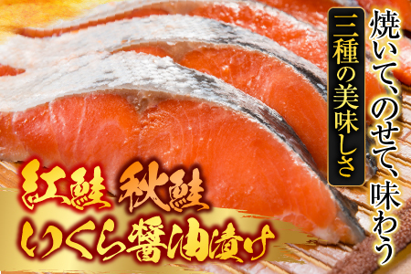無添加天然甘塩紅鮭10切、秋鮭4切、いくら醤油漬け(鮭卵)70g×1P A-11087