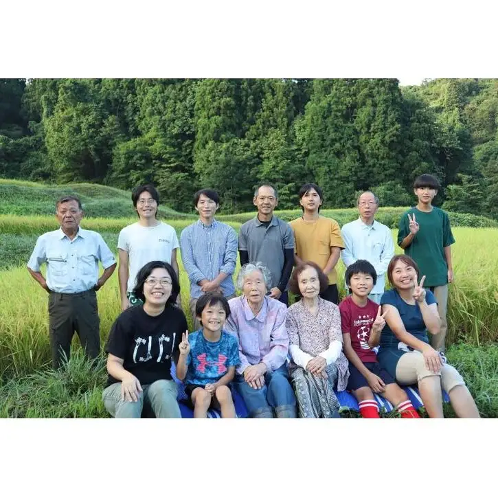 【令和8年産 先行予約】【定期便／全4回】精米3kg 新潟県魚沼産コシヒカリ「山清水米」 お米