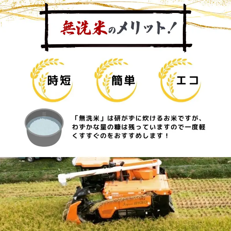 【令和8年産 新米予約】【無洗米】秋田県産特別栽培米ササニシキ4kg（2kg×2袋）新米 お米 おこめ 精米 小分け 特別栽培米