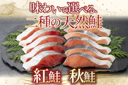 無添加甘塩天然鮭2種セット(計27切、約1.35kg) A-14001