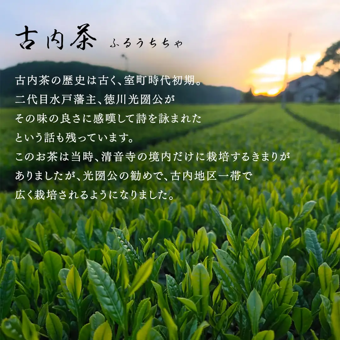 緑茶や和紅茶が試せる　古内茶詰め合わせセット (AD001)
