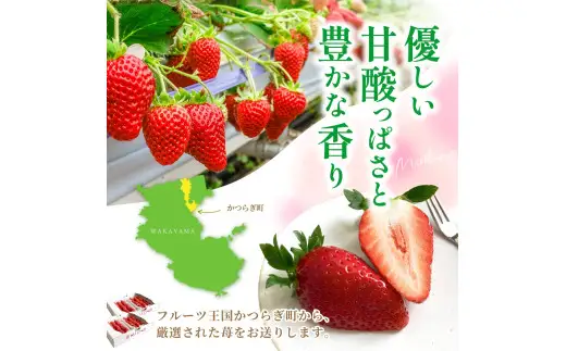 まりひめ イチゴ L～２L 12粒～15粒×4パック / いちご 果物 甘い 和歌山 ※2027年1月中旬～3月下旬頃発送予定【先行販売】※離島への配送不可【kgr500-250-4A】