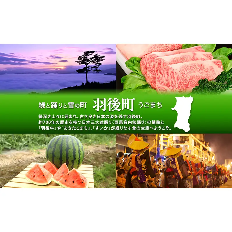 いぶりがっこ 味噌だれ 200g×1本［須藤健太郎商店］【タレ ソース 味噌ソース 秋田 ディップ 炒め物】