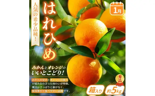 【定期便4回】旬の フルーツ定期便 / はれひめ みかん いちご まりひめ 桃 秀品 柿 種無し フルーツ 定期便 ふるーつ定期便 フルーツ 詰め合わせ 果物定期便 春フルーツ 夏フルーツ 秋フルーツ 冬フルーツ 産地直送 ※離島への配送不可【kgr530-4】