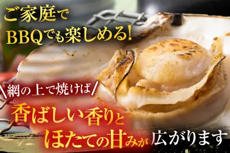 ＼漁業者応援品／根室海鮮市場[直送]片貝ほたて10枚×2P A-28124